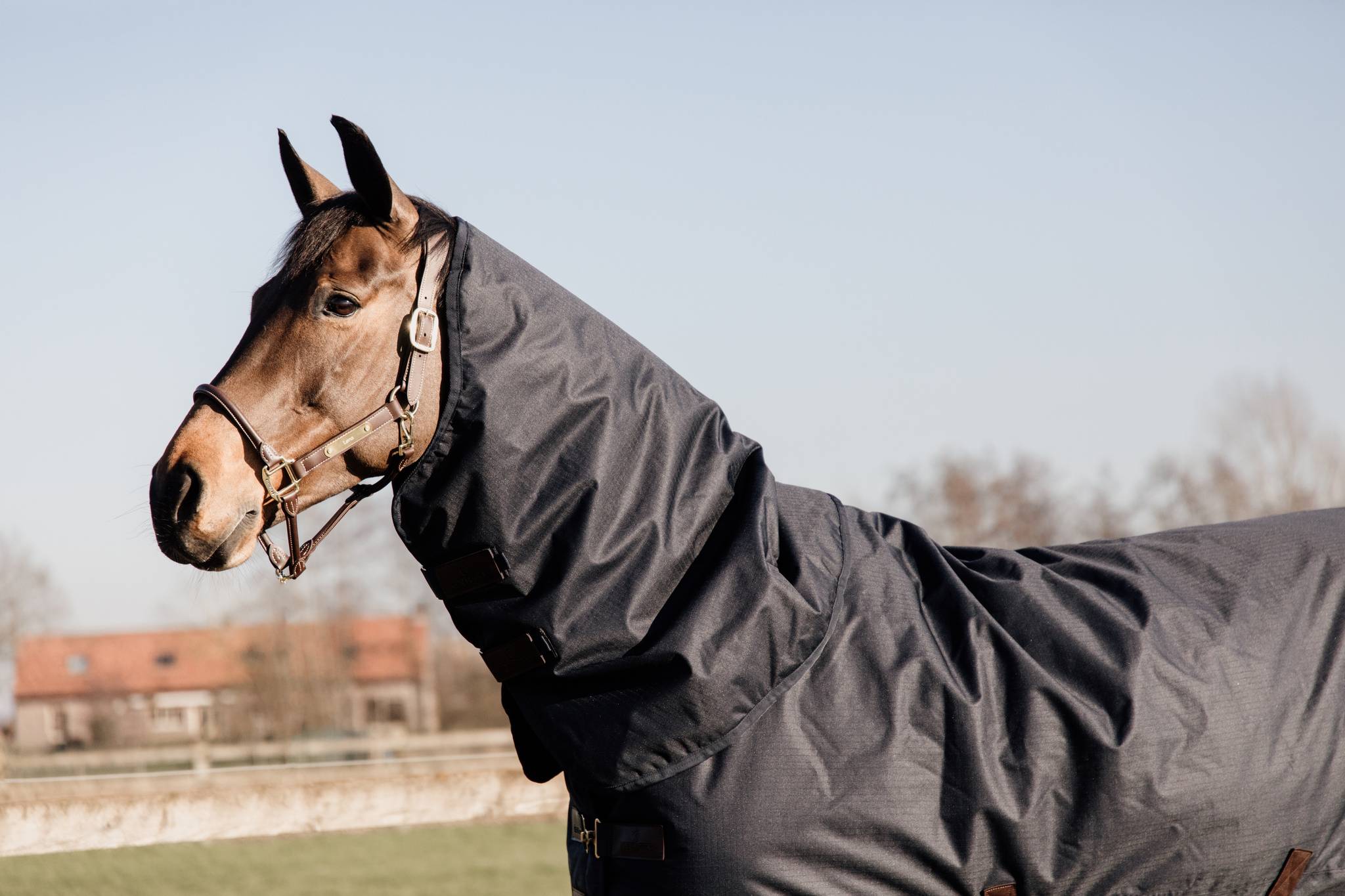 All Weather Waterproof Classic 0g Neck Cover - Kentucky