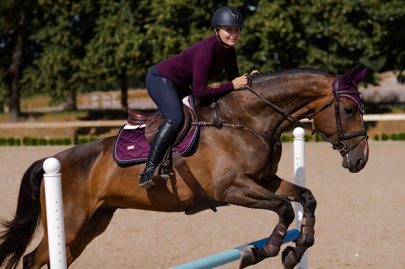 Pull coll roulé Purple Gold - Equestrian Stockholm