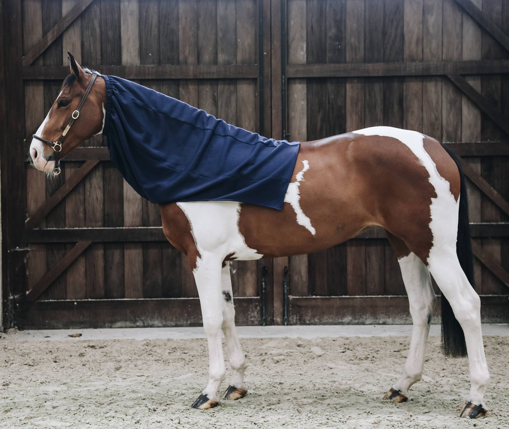 Fleece scarf - Kentucky