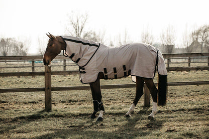 Fly Blanket - Kentucky