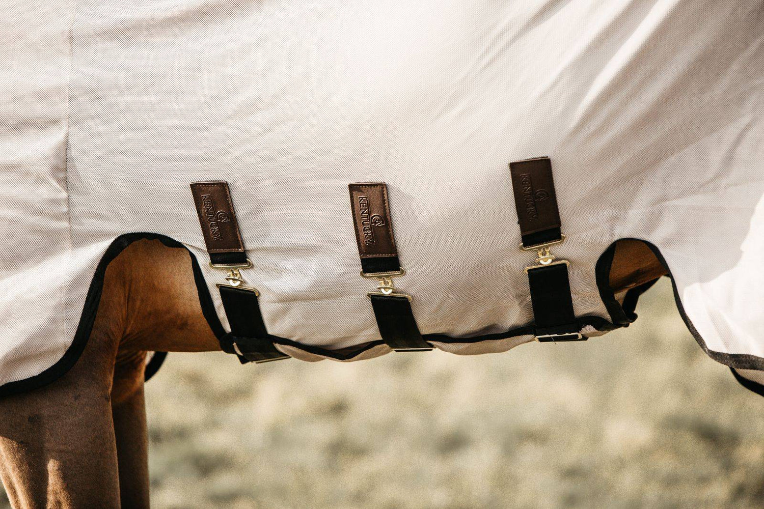 Fly Blanket - Kentucky
