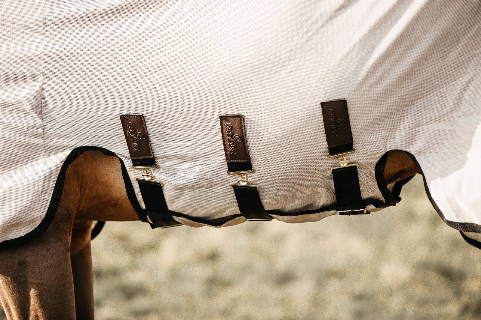 Fly Blanket - Kentucky