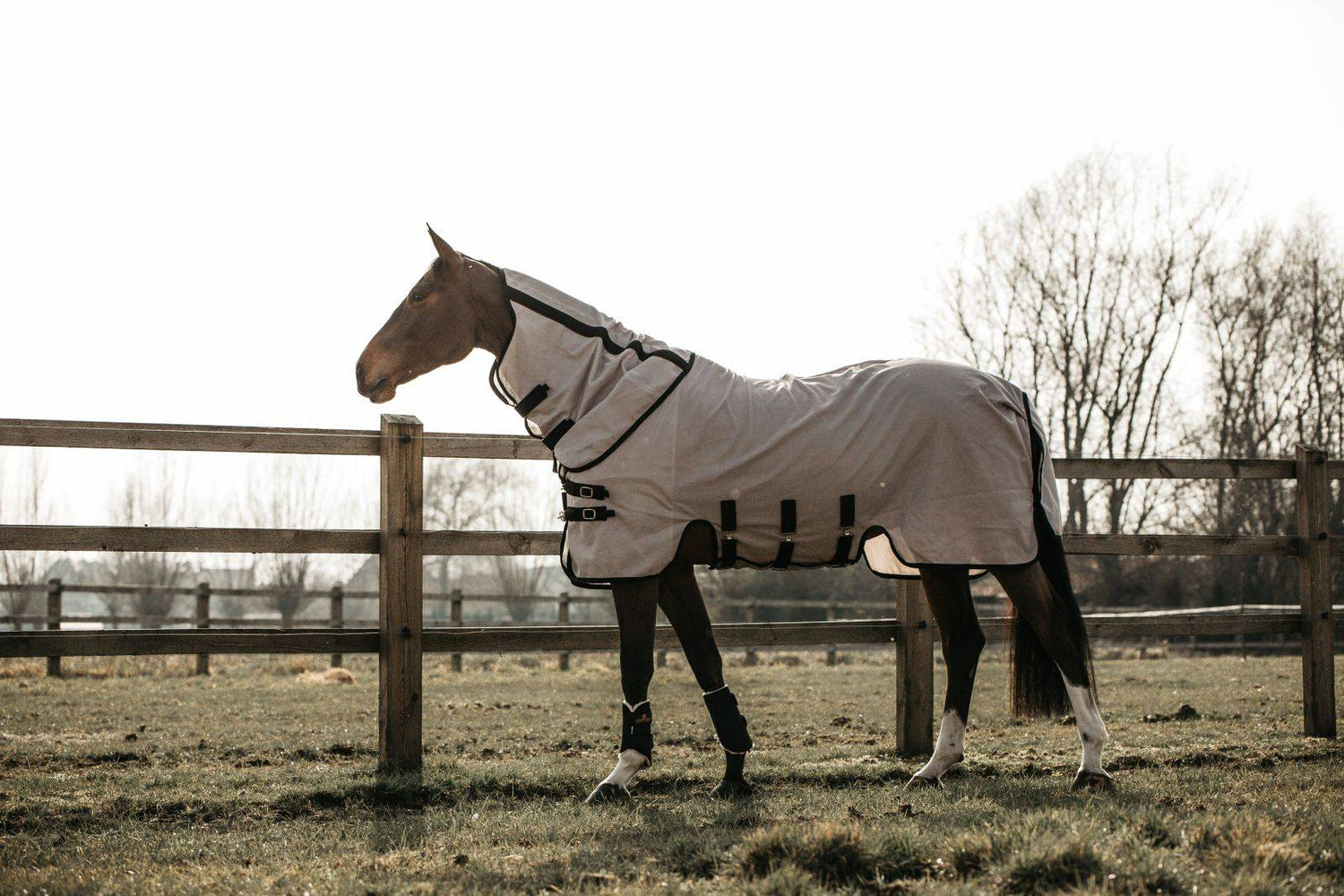 Fly Blanket - Kentucky