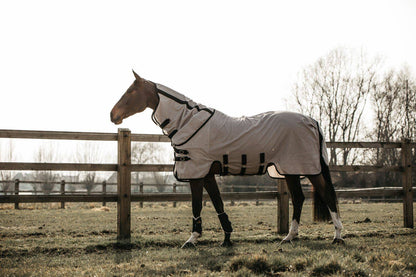 Fly Blanket - Kentucky