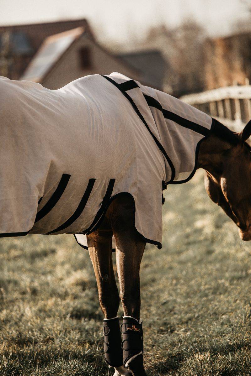 Fly Blanket - Kentucky