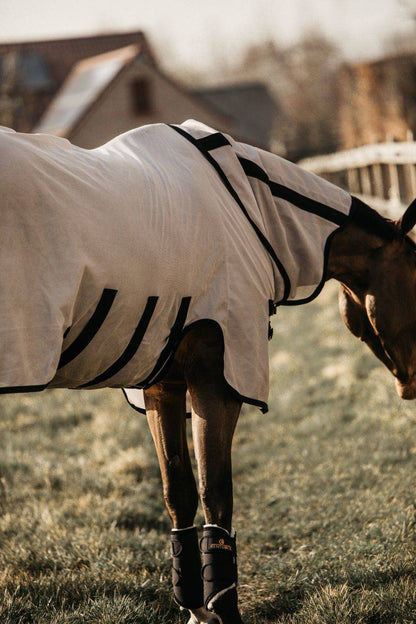 Fly Blanket - Kentucky