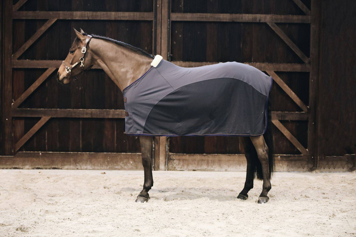 Softshell Drying Shirt - Kentucky