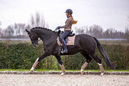 Polo bands Champagne - Equestrian Stockholm