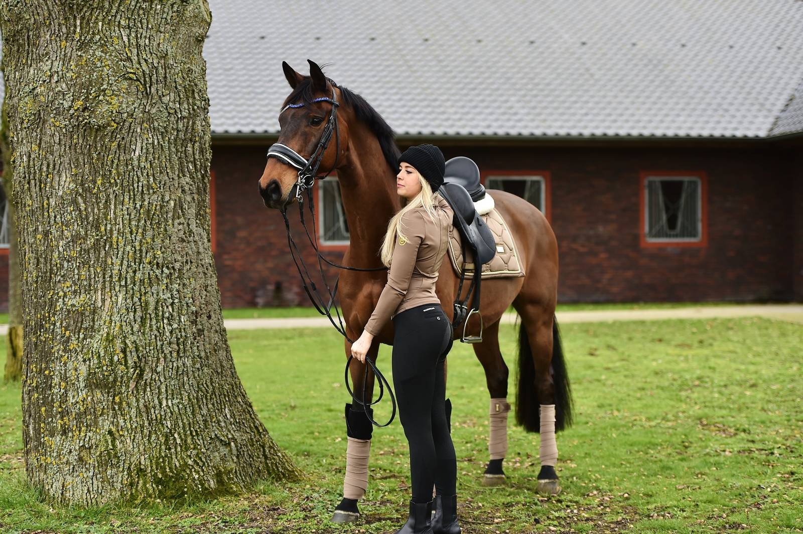 Polo bands Champagne - Equestrian Stockholm