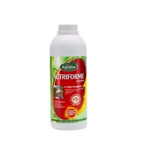 Nutriforme - Ravenna
