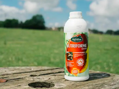 Nutriforme - Ravenna