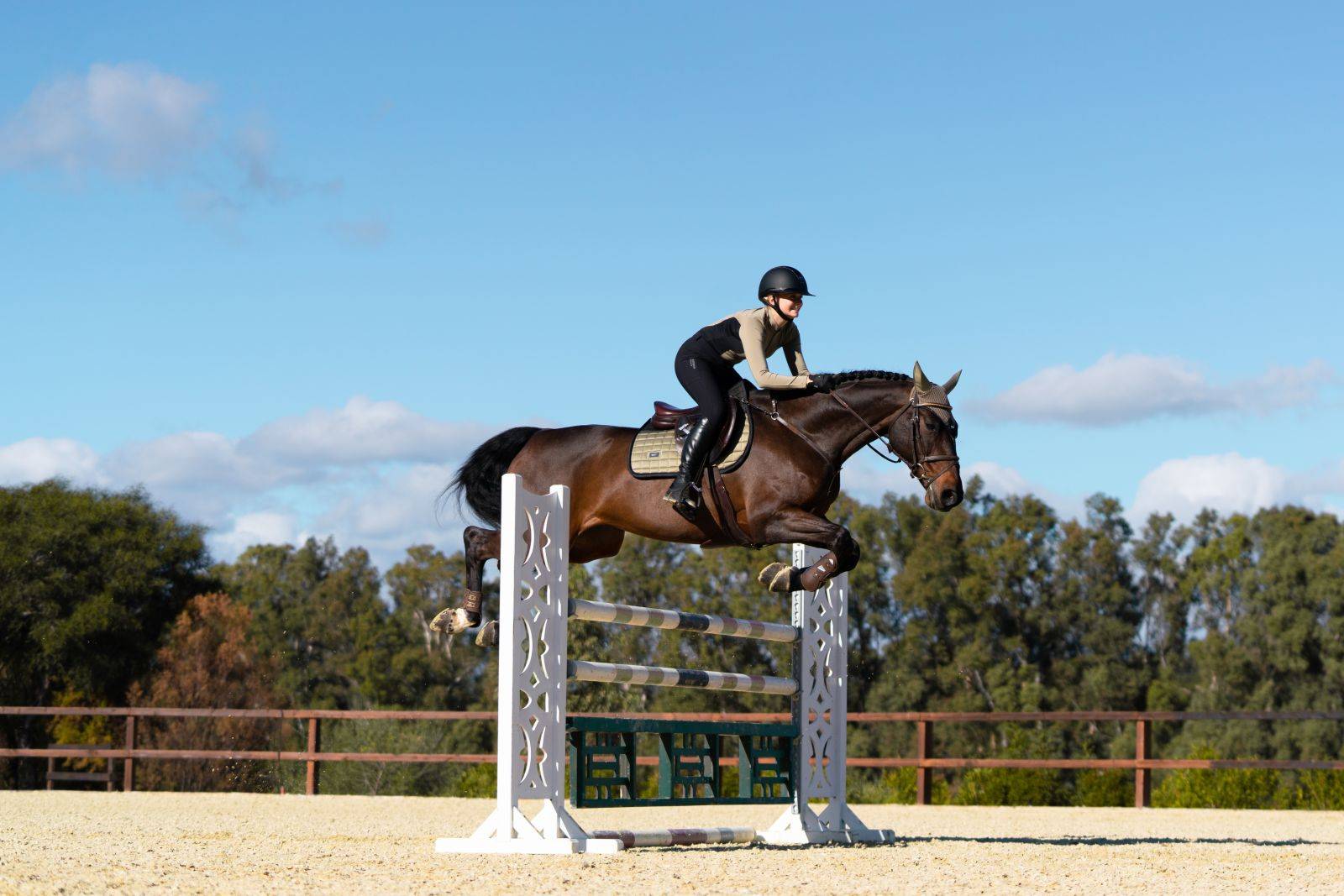 Tapis de selle Sportive Chantelle - Equestrian Stockholm