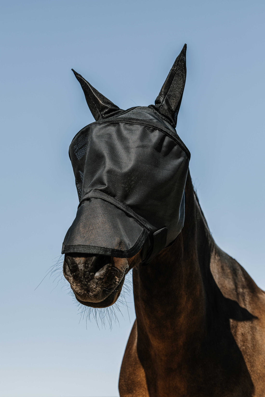 Masque anti mouches et anti UV Protec - EQUITHEME