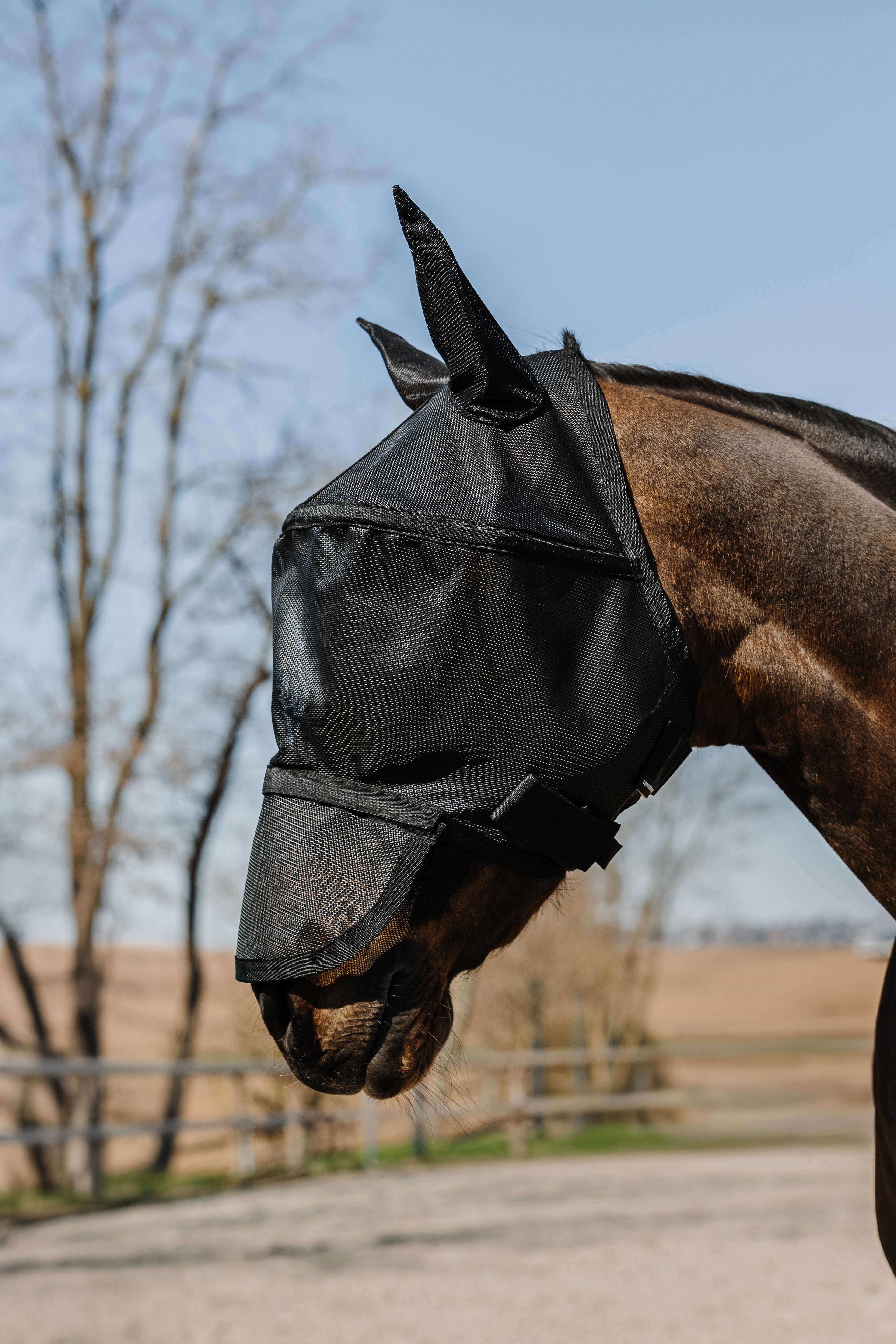Masque anti mouches et anti UV Protec - EQUITHEME