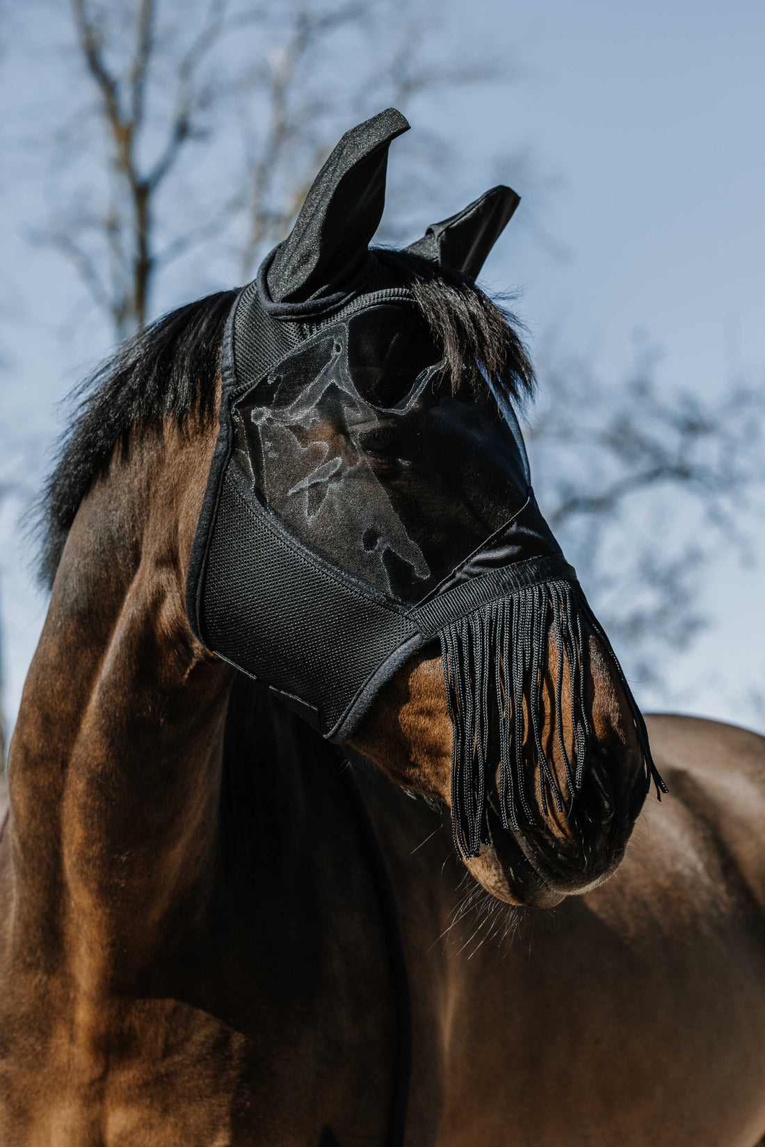 Masque anti mouche anti UV à franges - EQUITHEME