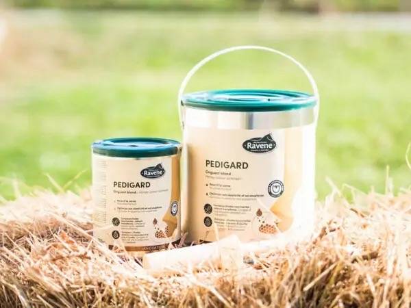 Onguent blond Pedigard - Laboratoire Ravene