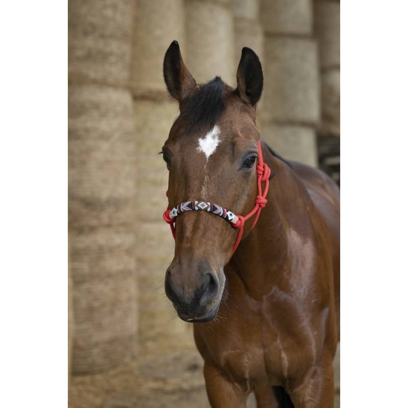 Ethological rope halter "Pearl" - Norton