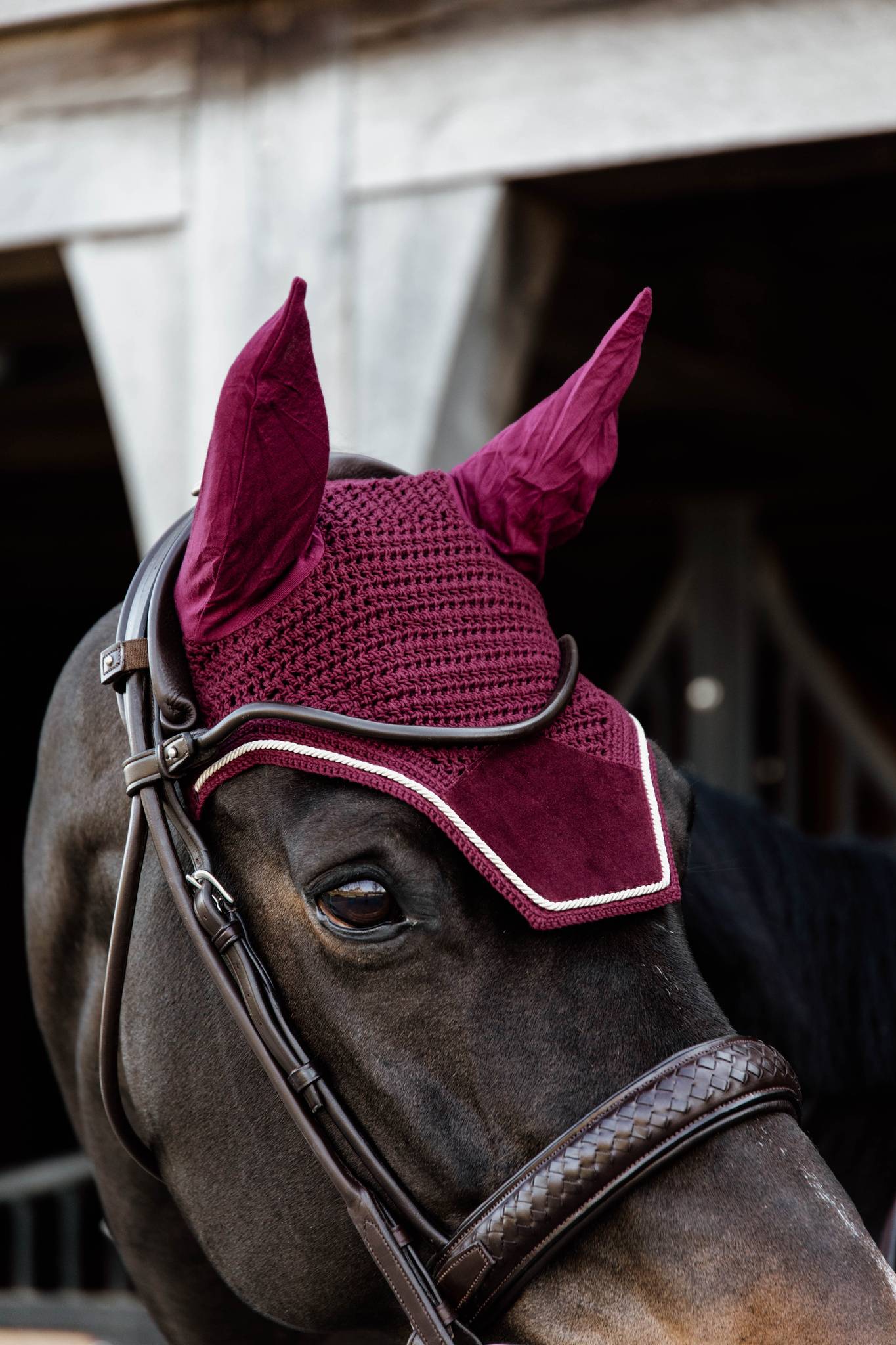 Wellington Velvet Burgundy Beanie - Kentucky