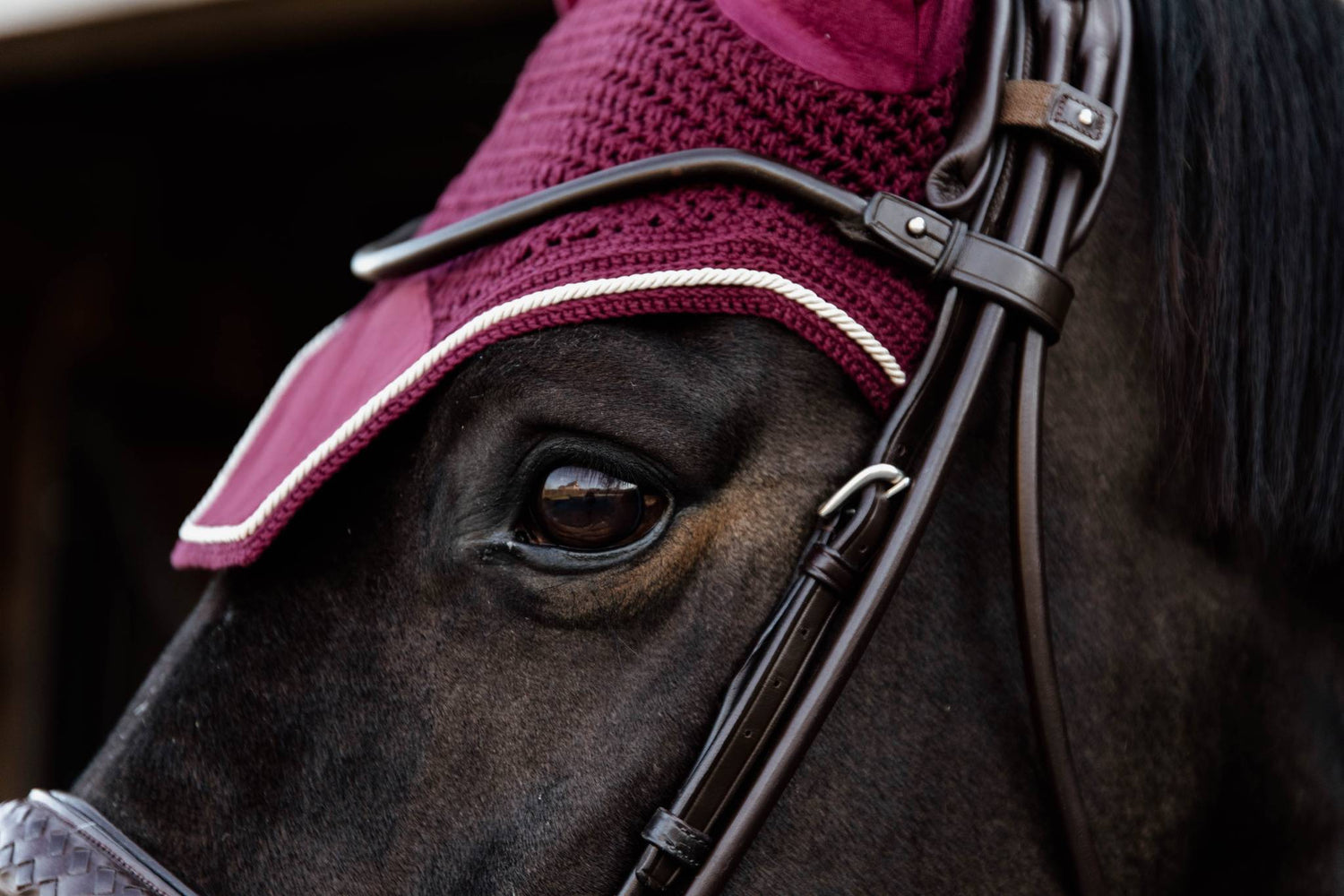 Wellington Velvet Burgundy Beanie - Kentucky