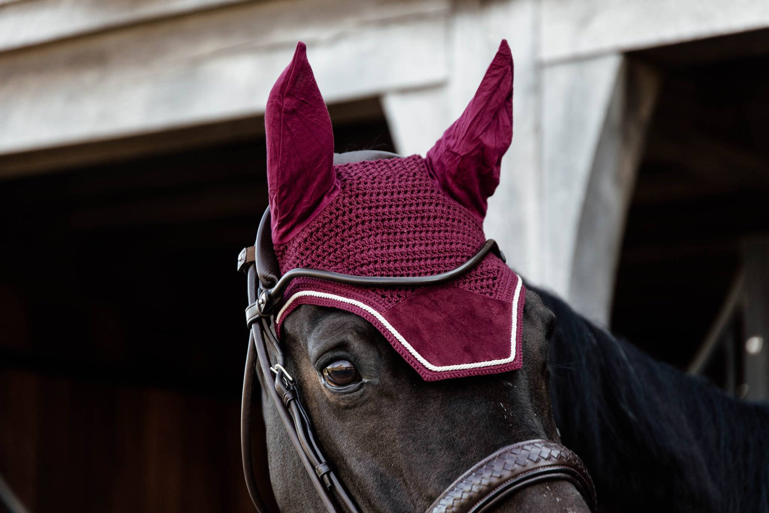Wellington Velvet Burgundy Beanie - Kentucky