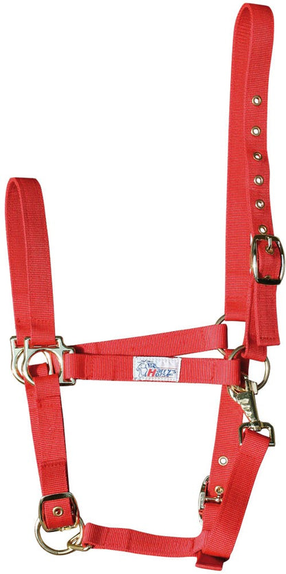 Nylon halter - Harry&