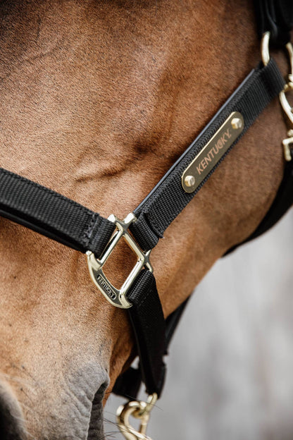 Anatomical nylon halter - Kentucky