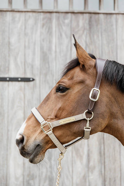 Anatomical nylon halter - Kentucky