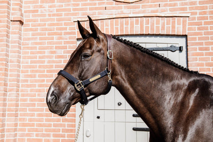 Anatomical nylon halter - Kentucky