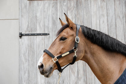 Anatomical nylon halter - Kentucky