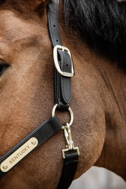 Anatomical nylon halter - Kentucky