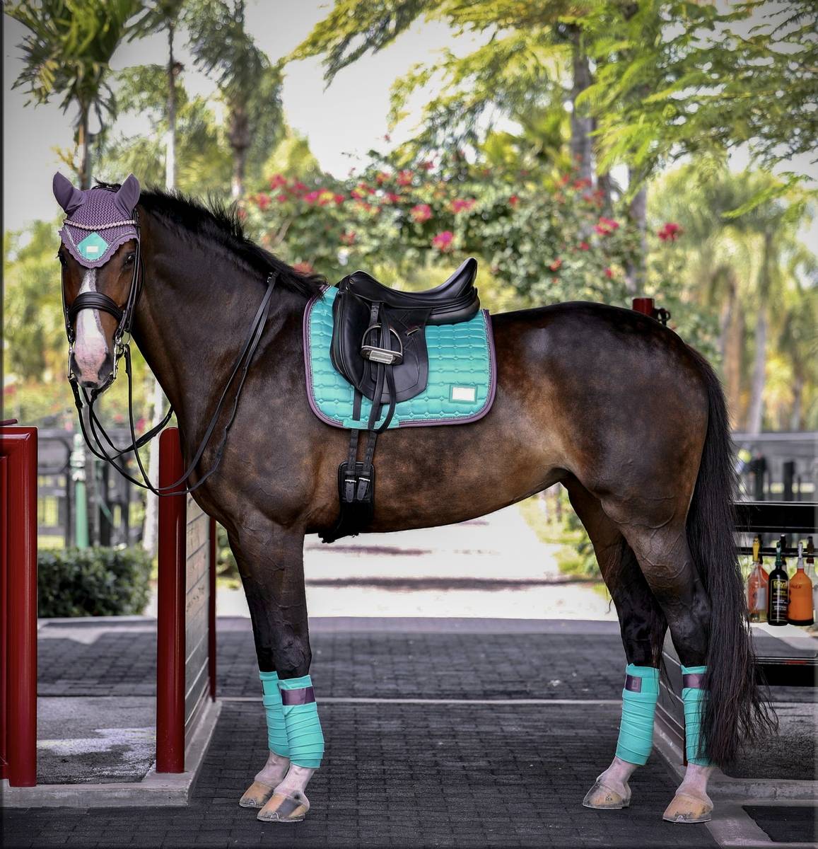 Frosty Mint Rug - Equito