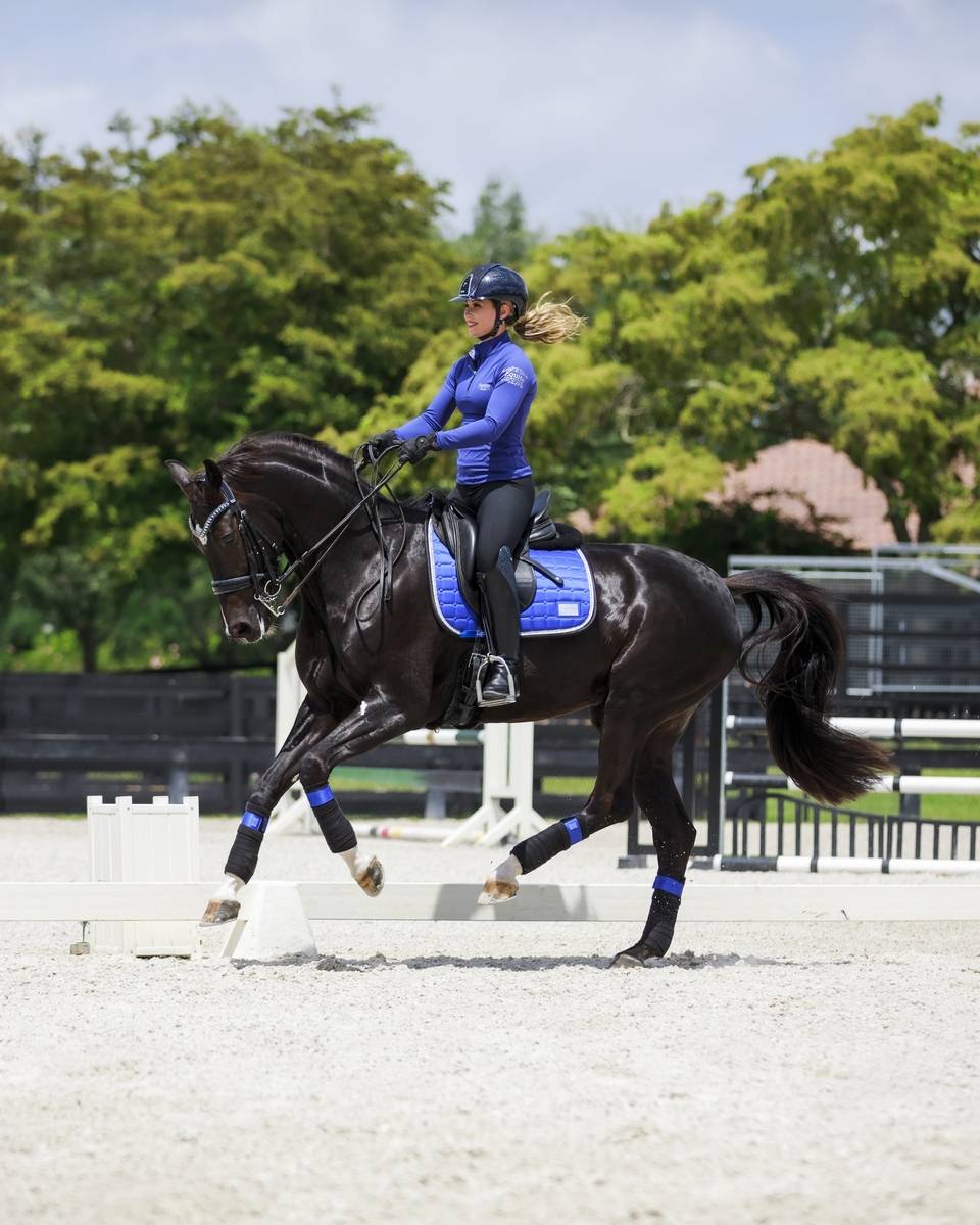 Tapis Royal Blue - Equito