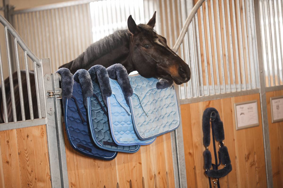 Tapis Eurofit Satiné Edition Limitée 2022 Blue MOUTON  - Mattes