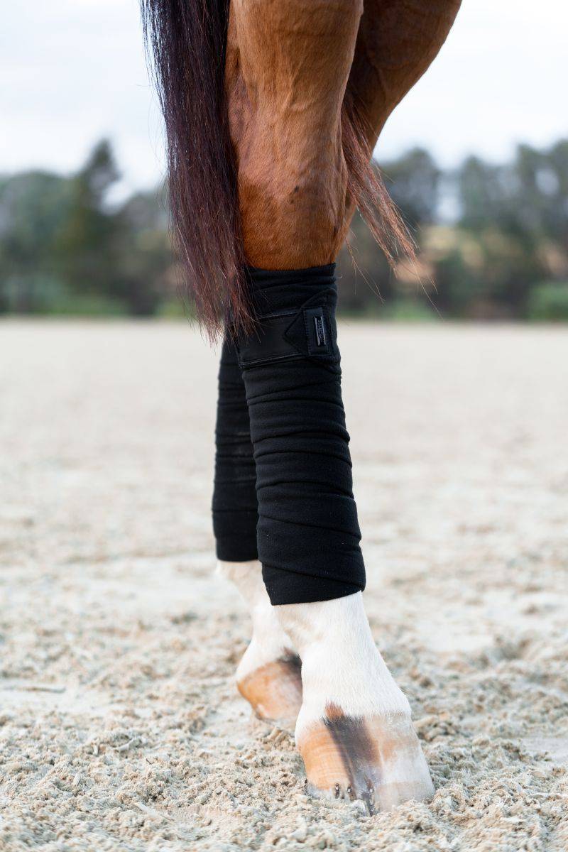 Total Eclipse Polo Bands - Equestrian Stockholm