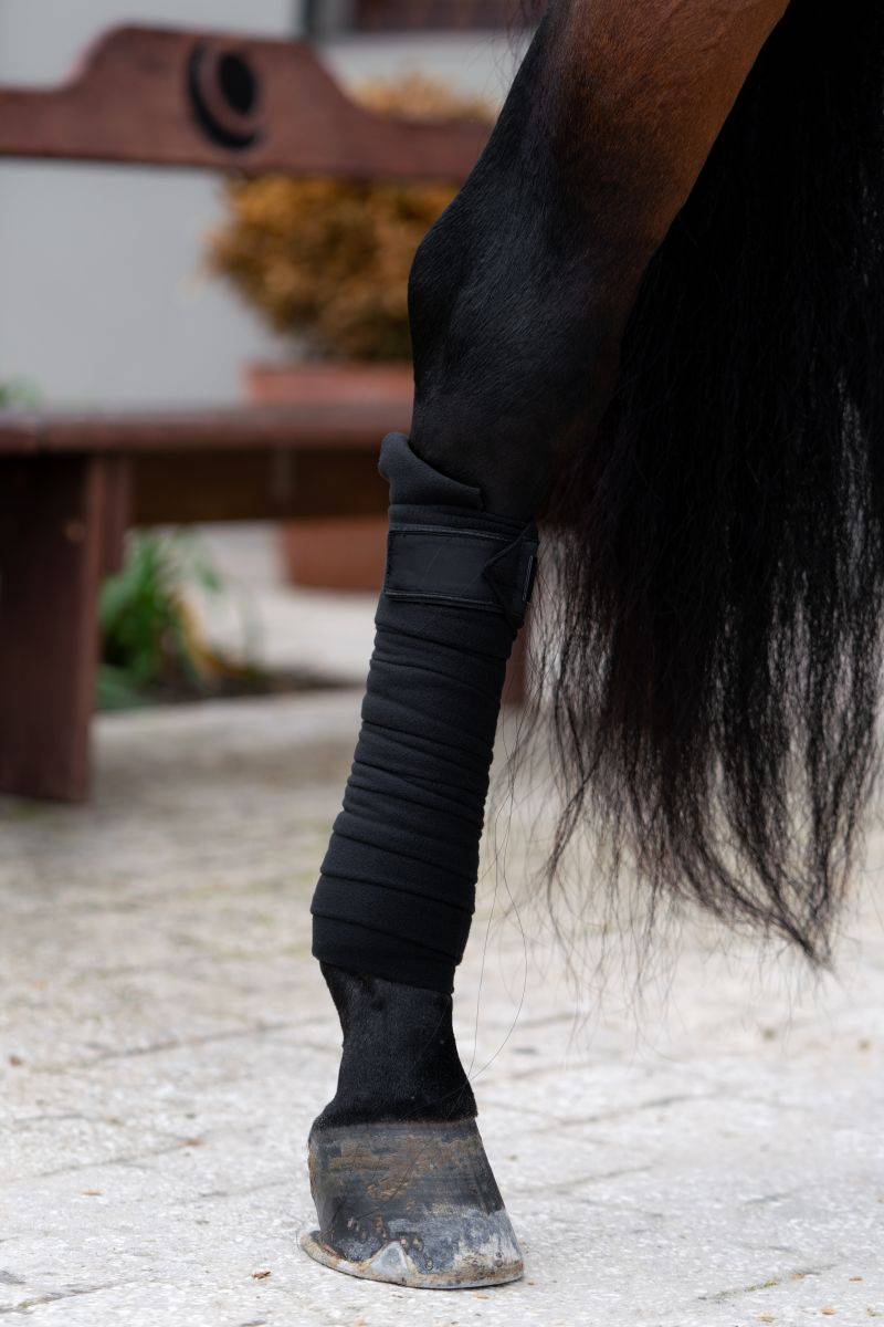 Total Eclipse Polo Bands - Equestrian Stockholm