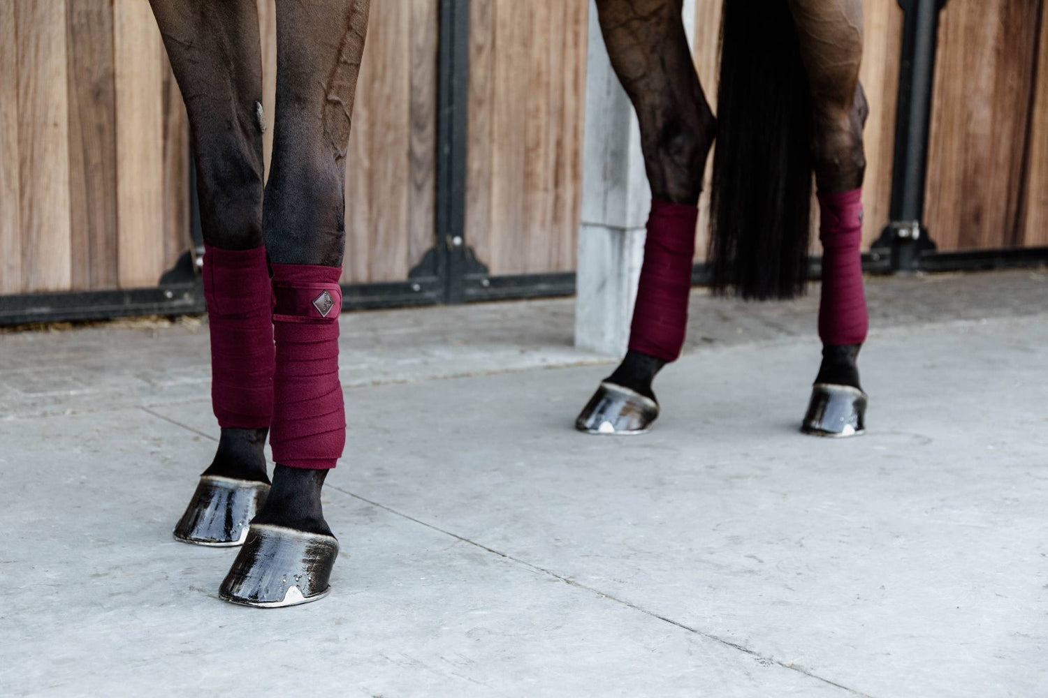 Burgundy Velvet Polo Bands - Kentucky