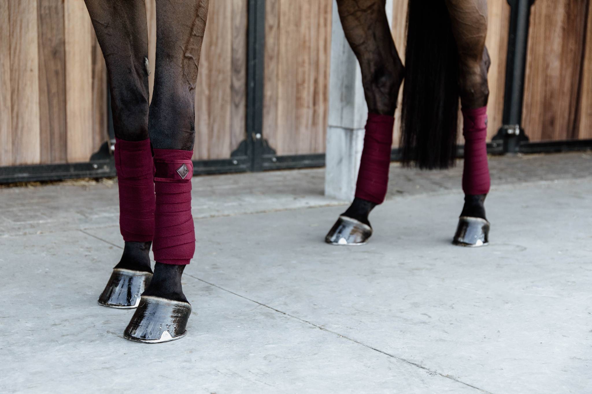 Burgundy Velvet Polo Bands - Kentucky