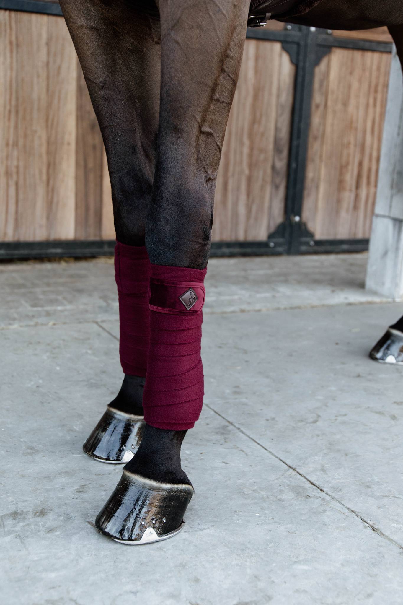 Burgundy Velvet Polo Bands - Kentucky
