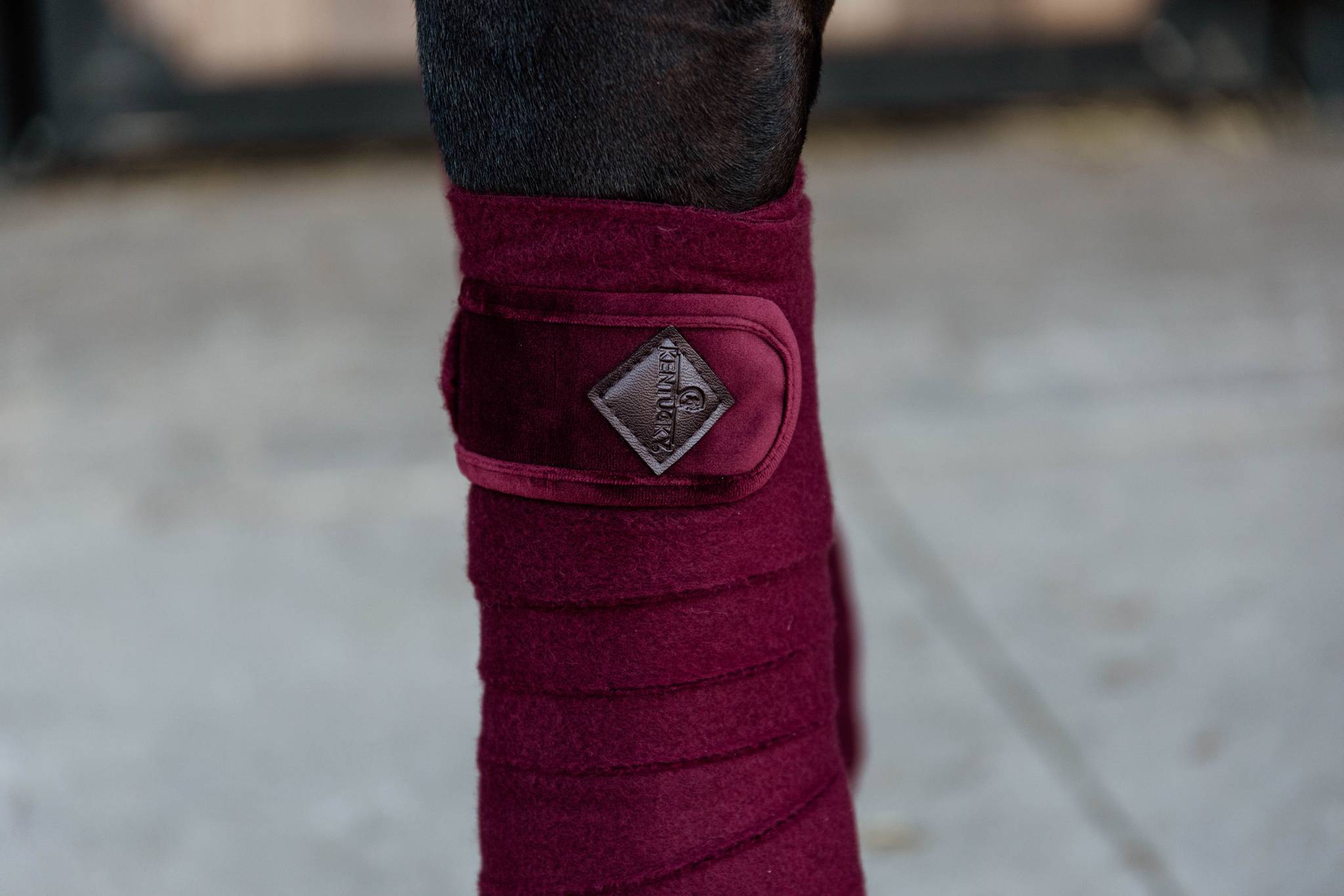 Burgundy Velvet Polo Bands - Kentucky