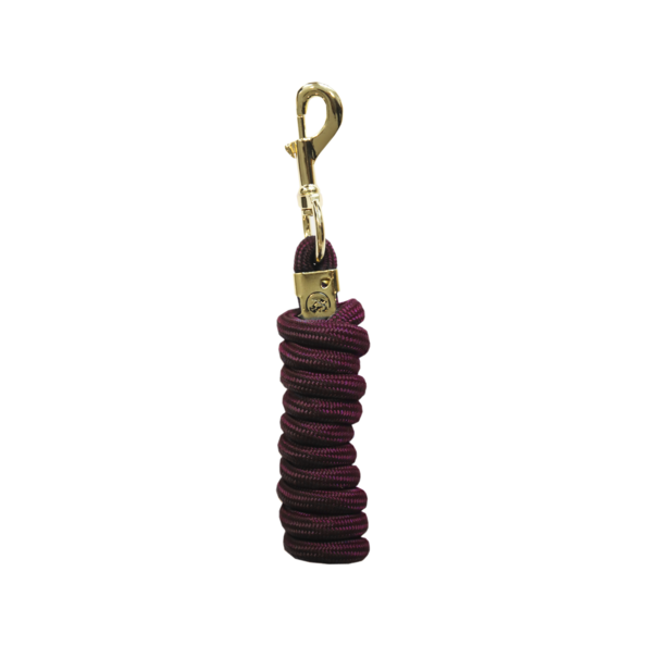 Basic Burgundy Lanyard - Kentucky