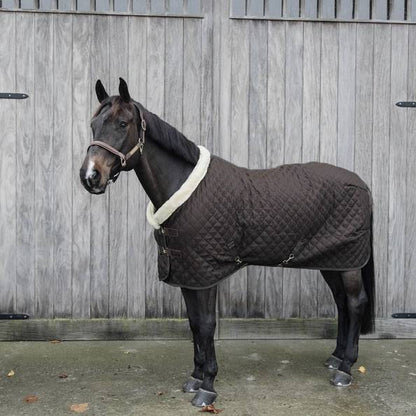 Presentation blanket 160g Brown - Kentucky