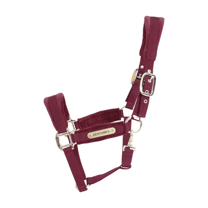 Licol Velvet Bordeaux - Kentucky