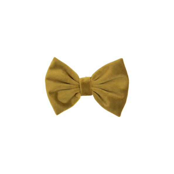 Noeud papillon velvet - Kentucky