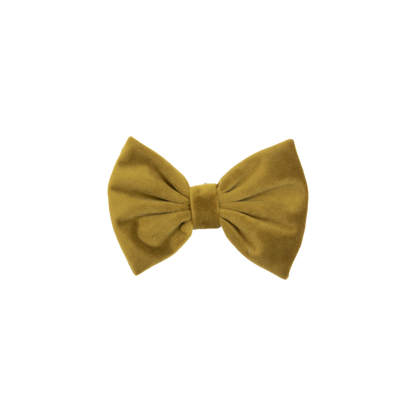 Noeud papillon velvet - Kentucky