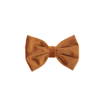 Noeud papillon velvet - Kentucky