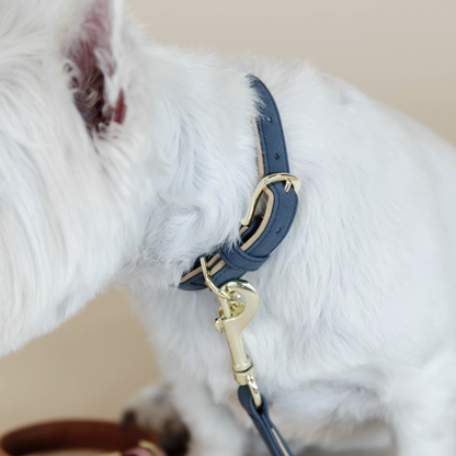 Vegan Leather Dog Collar - Kentucky