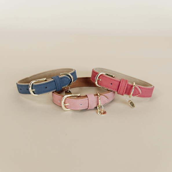 Vegan Leather Dog Collar - Kentucky