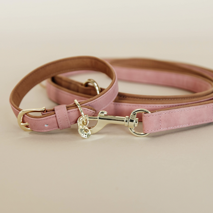 Vegan Leather Dog Collar - Kentucky