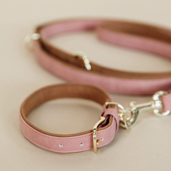 Vegan Leather Dog Collar - Kentucky