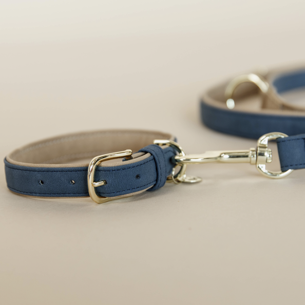 Vegan Leather Dog Collar - Kentucky